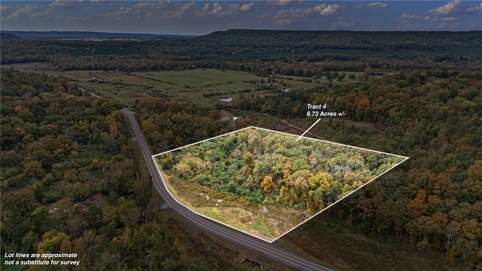 TRACT 4 - 13610 Arkansas 105, Hector, AR 72843 - photo 1