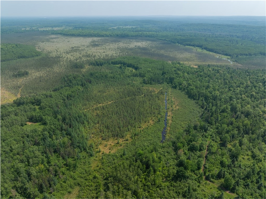 Expansive food plot situated near water