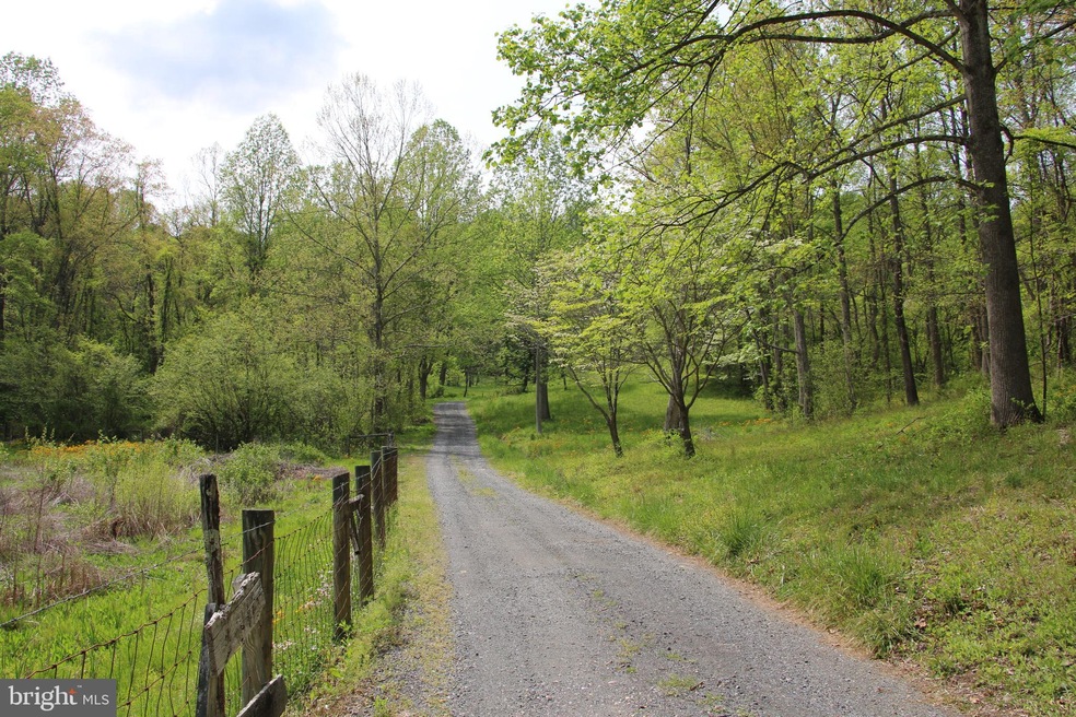 0 Chestnut Run Ln unit VARP107578, Sperryville, VA 22740 - photo 1
