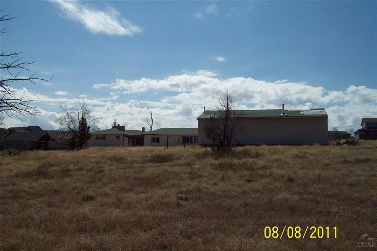 Primary Photo