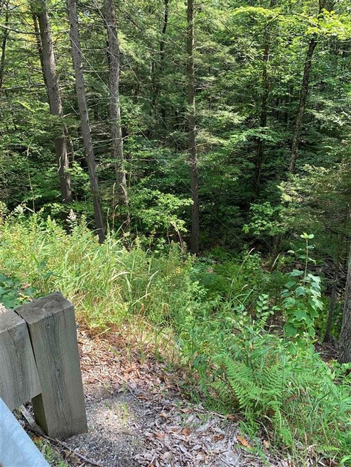 0 Halls Brook Rd unit 29, East Hebron, NH 03241 - photo 1