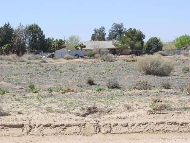 Front view of lot from street.