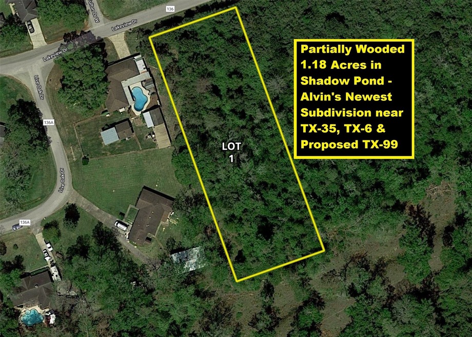 53 Lakeview Drive Lot 1, Alvin, TX 77511 - photo 1