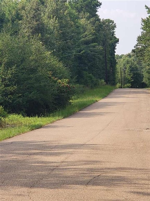 1197 Trexler Rd, Texarkana, TX 75501 - photo 1