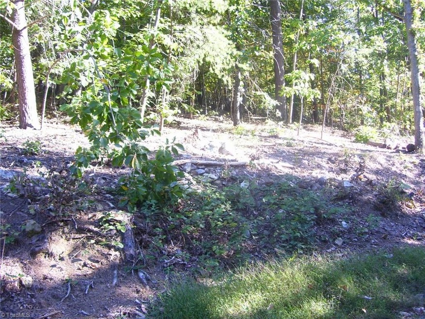 0 Thayer Dr, Asheboro, NC 27205 - photo 1