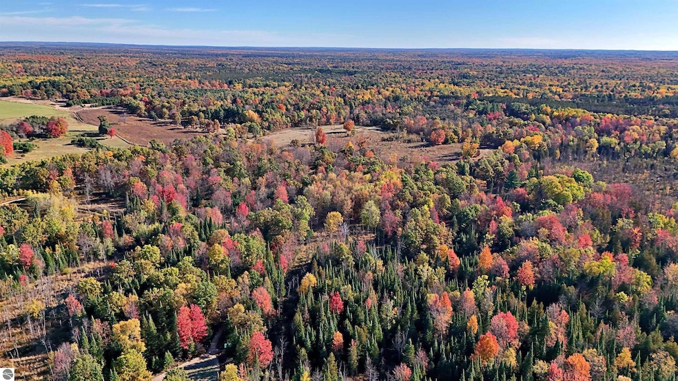 0 Twin Lake Rd, Middle Branch Township, MI 49665 - photo 1