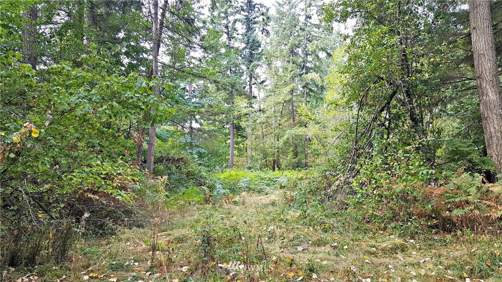 0 128th Ave E unit 1195099, Graham, WA 98338 - photo 1