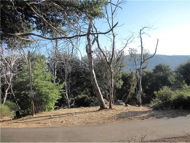 VIEW OF MIDDLE PEAK LOOKING SOUTH