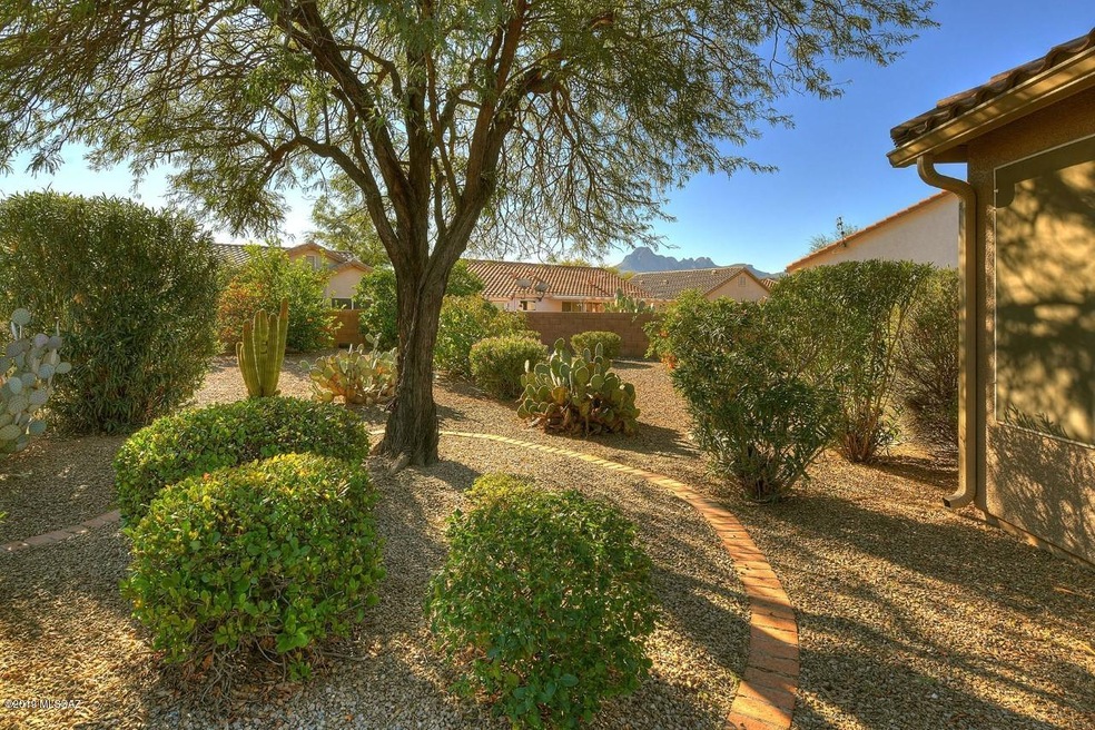 Phenomenal Back Yard