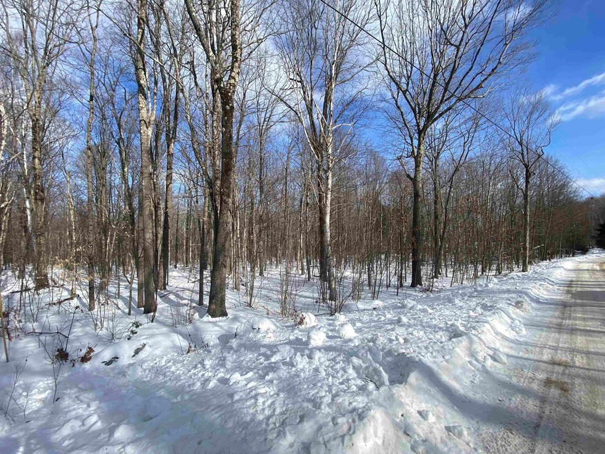 0 Musterfield Heights Rd unit M405 L24 4896352, Marlow, NH 03456 - photo 1