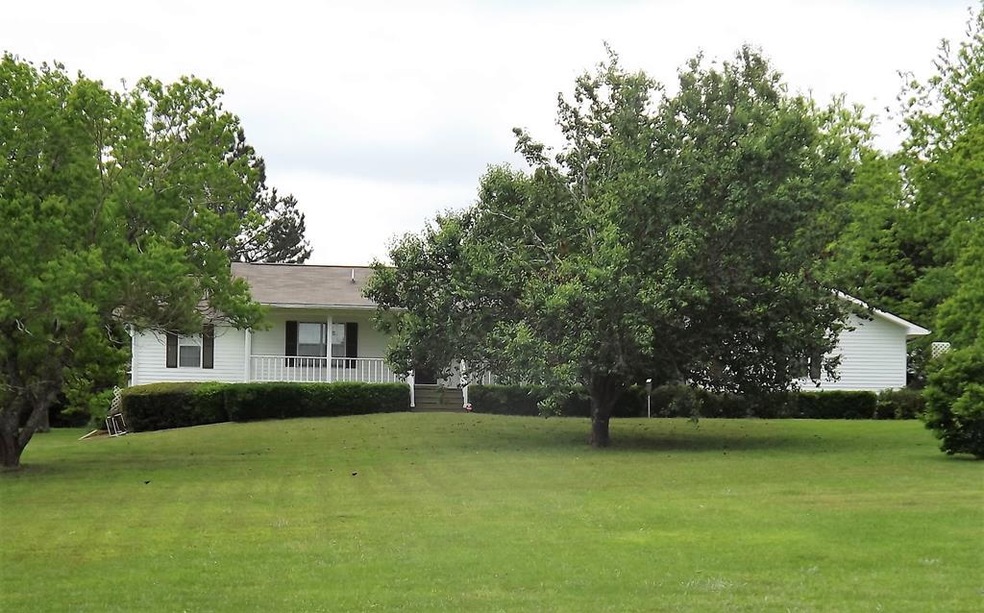 Main View