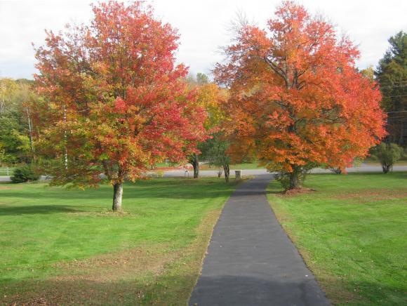 14 Pingree Hill Rd, Derry, NH 03038 - photo 1