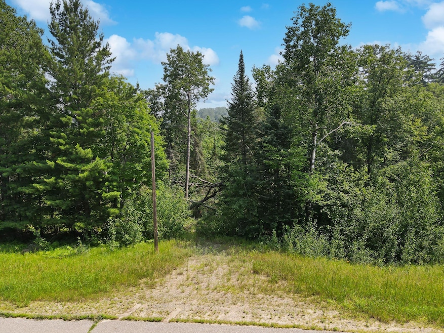 TBD Lower Ten Mile Lake Rd NW, Hackensack, MN 56452 - photo 1