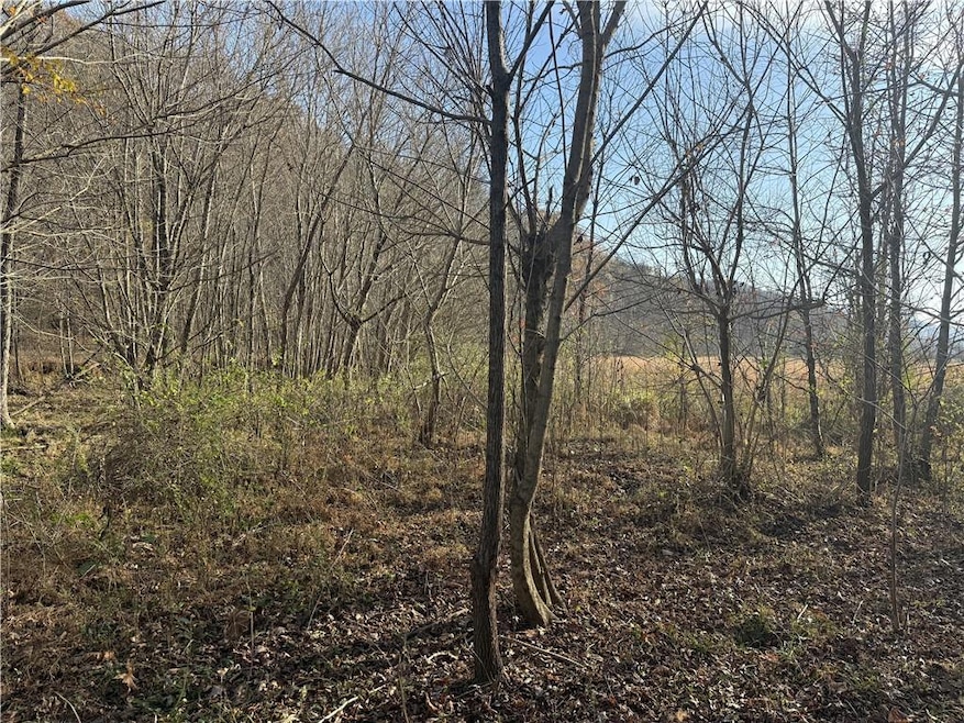 View of local wilderness