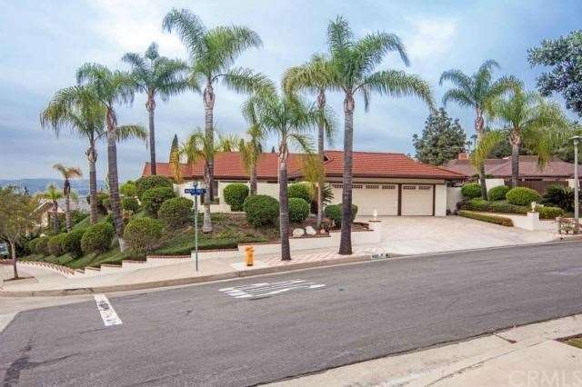 Street view of Maple Tree. This home sits on a 14,