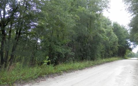 27694 41st Rd, Branford, FL 32008 - photo 1