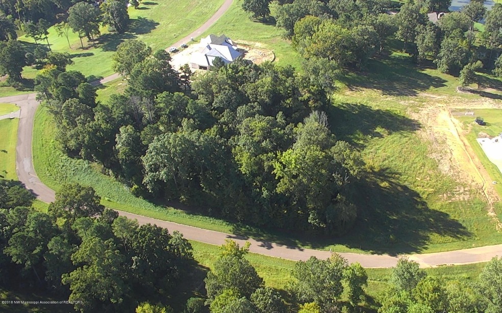 2727 Plank Rd, Hernando, MS 38632 - photo 1