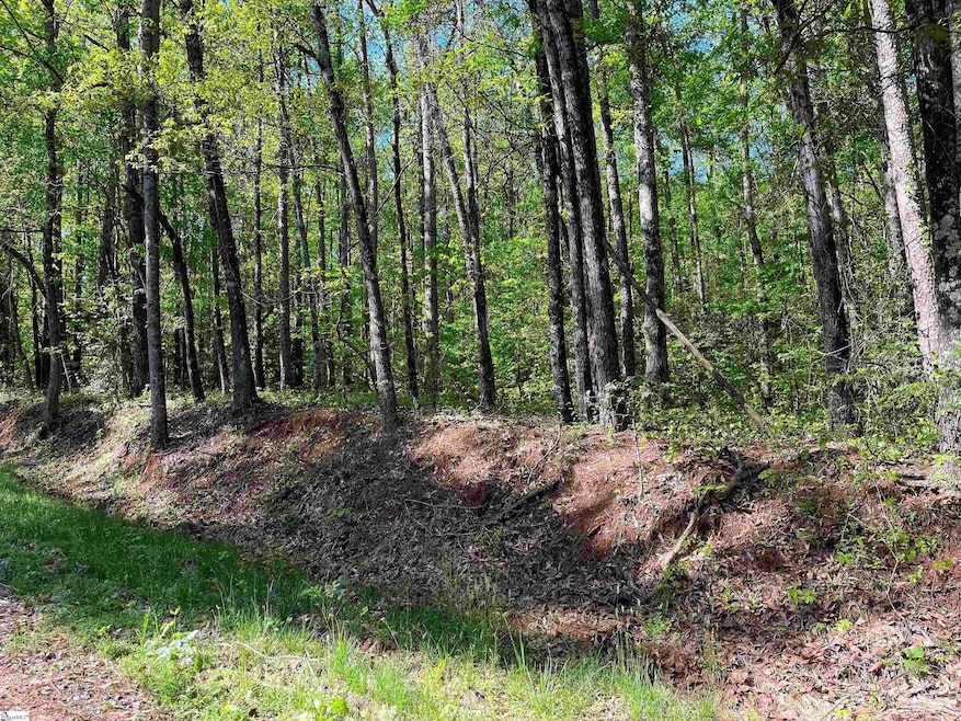 0 Simmons unit 1545919, Wellford, SC 29385 - photo 1