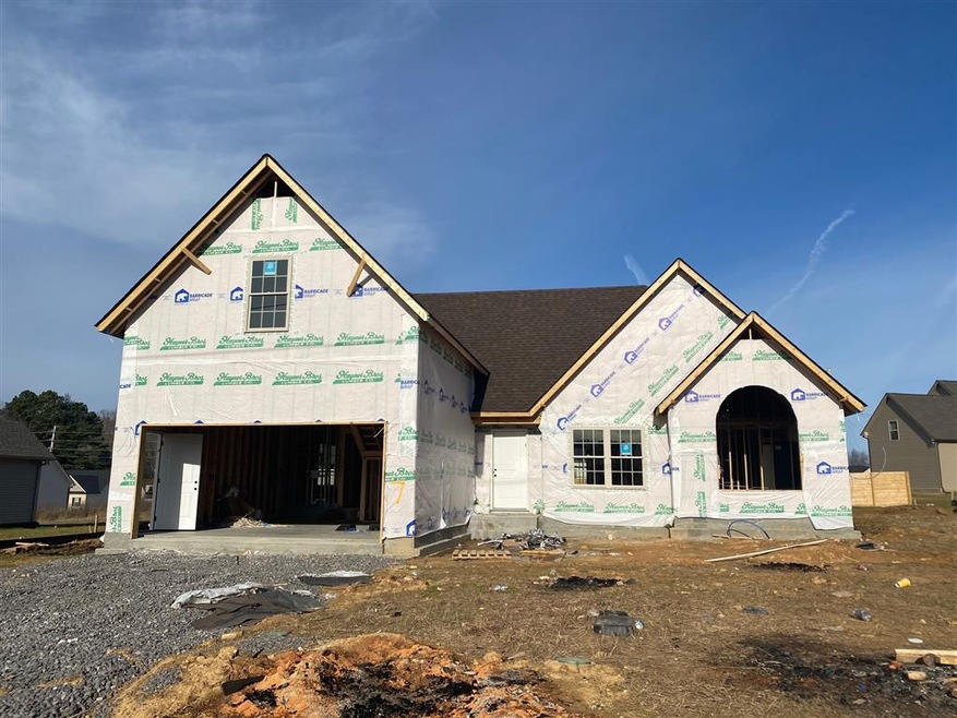 153 Grace Ct, Manchester, TN 37355 - photo 1