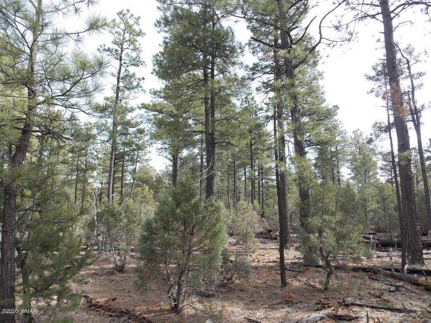 View of Property