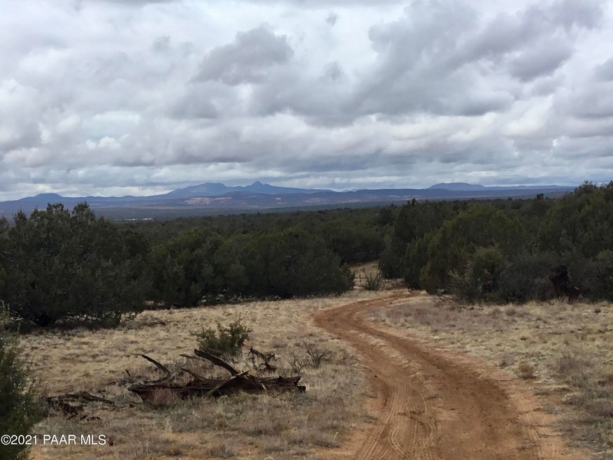 5986 N Forest Line Rd, Ash Fork, AZ 86320 - photo 1