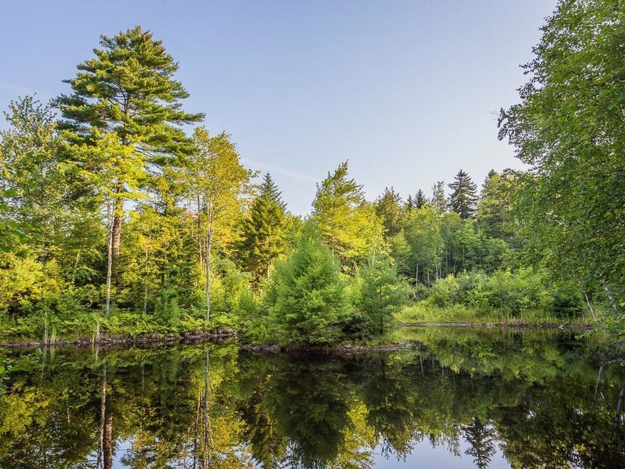 Pond on 44 Stone Drive