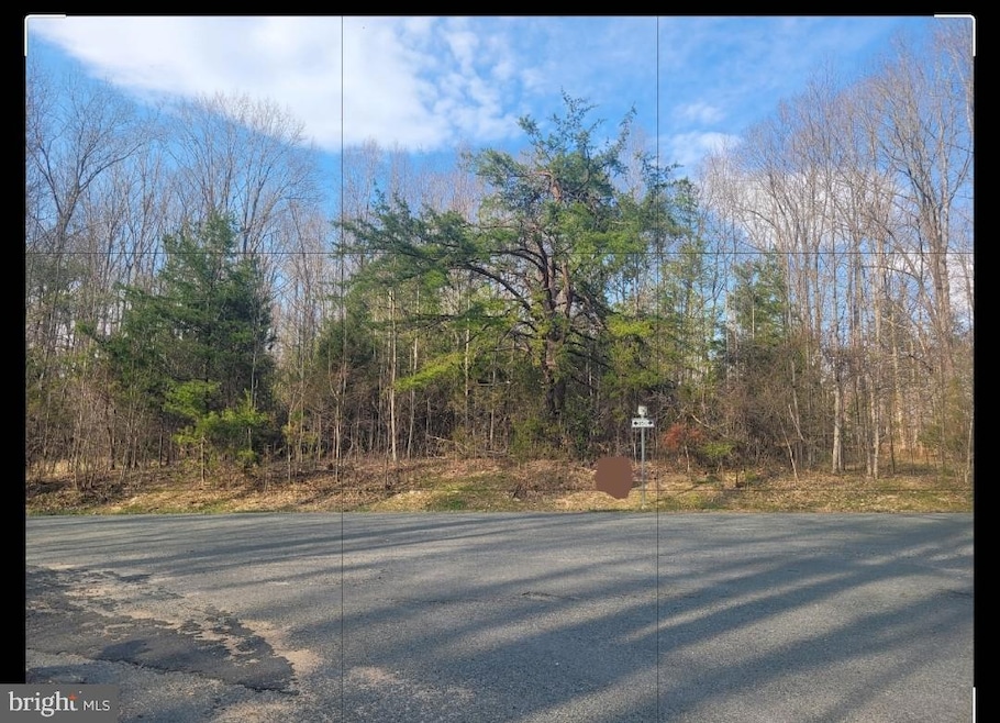 Lot 117 Paddock Ln, Louisa, VA 23093 - photo 1