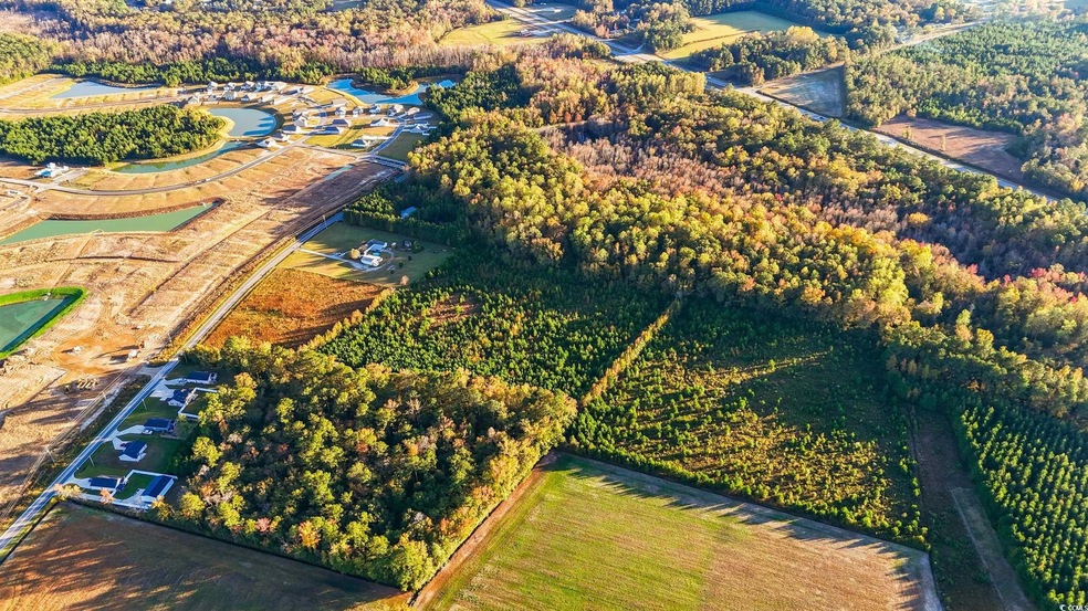 TBD Hwy 9 Bypass, Loris, SC 29569 - photo 1