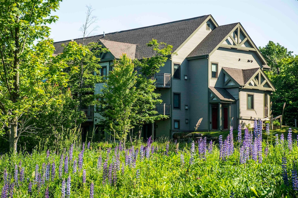 319 Jay Peak Rd unit 4707, Jay, VT 05859 - photo 1