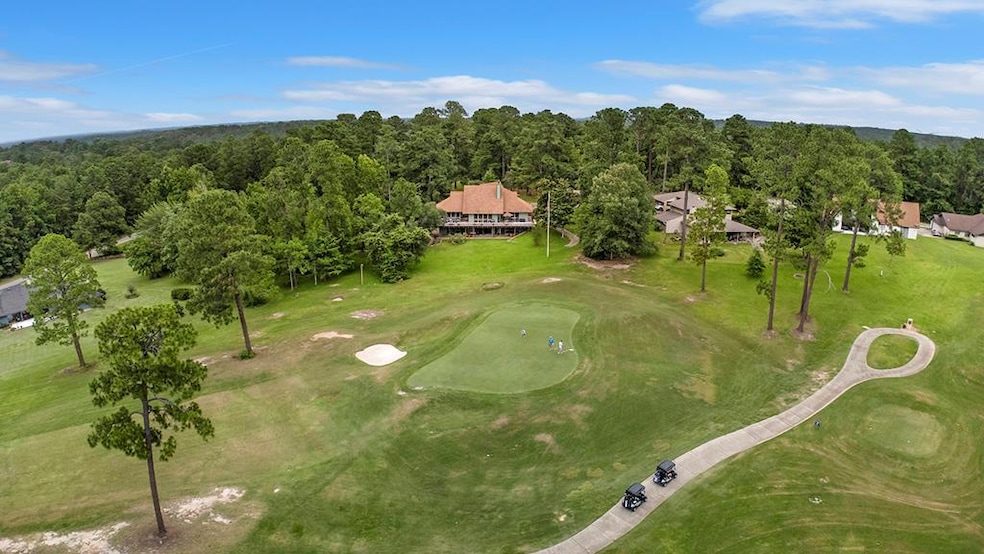 245 Watchhill Rd, Brookeland, TX 75931 - photo 1