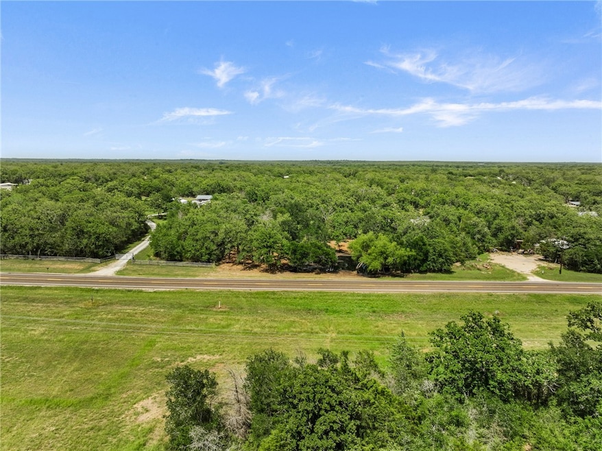 Drone / aerial view of a forest