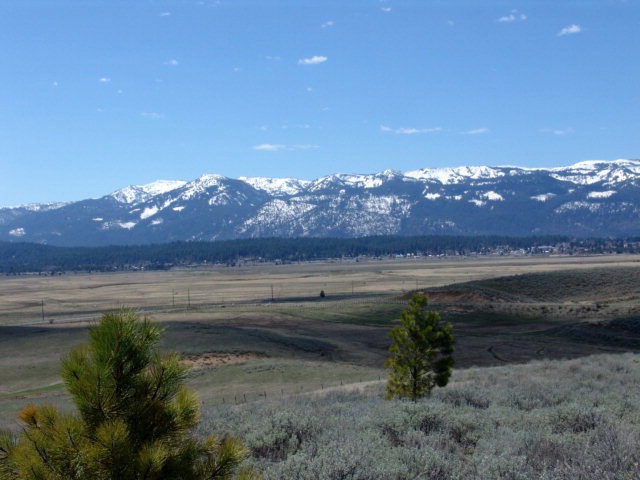 Main View