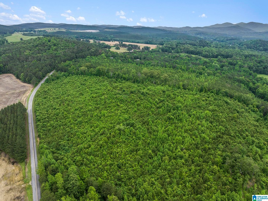 0 County Road 12 unit 21419015, Centre, AL 35960 - photo 1