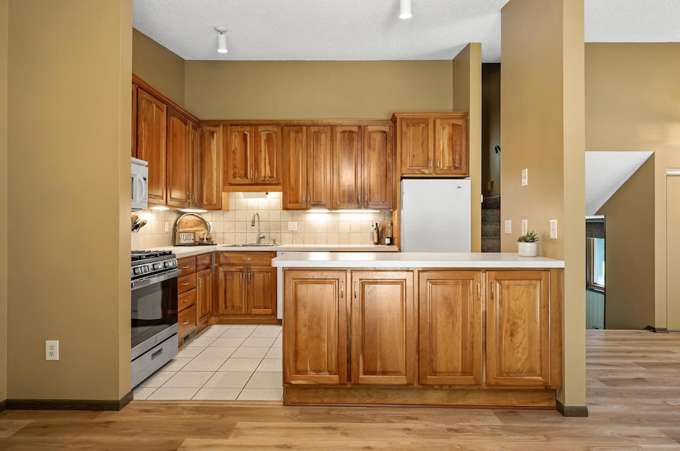 1010 Zanzibar Ln N, Plymouth, MN 55447 - photo 1