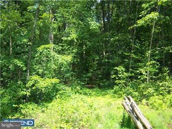Lot 2 Old Plains Rd, Pennsburg, PA 18073 - photo 1
