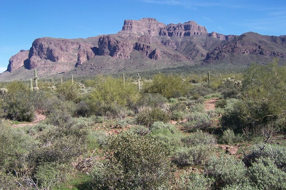 View of Superstition Mtns