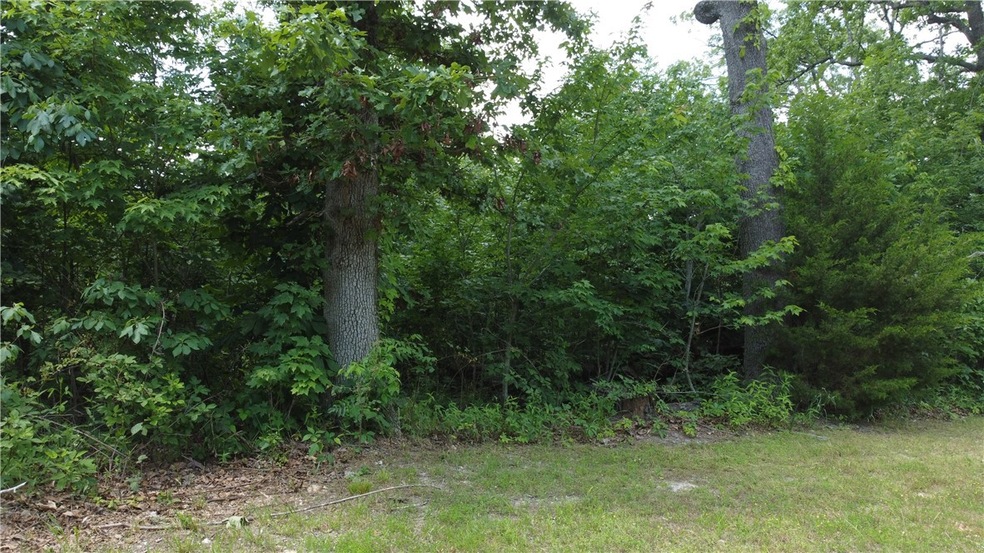 0 Buckland Ln, Bella Vista, AR 72715 - photo 1