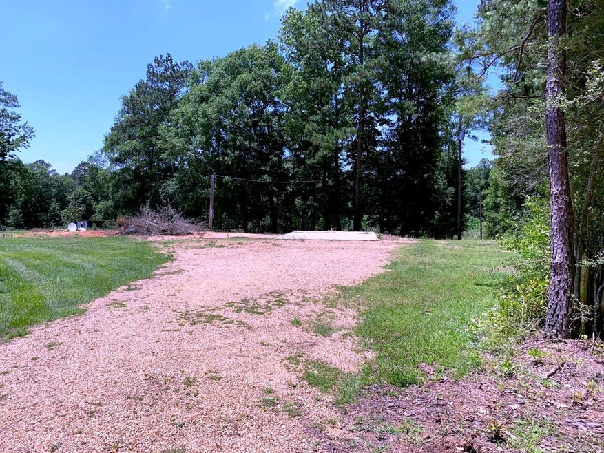 1007 Ernest A Thompson Rd, Ruth, MS 39662 - photo 1