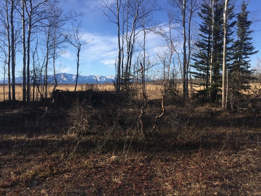 ptarmigan rd3