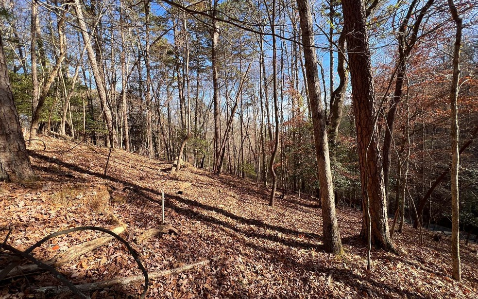 2721 Mooring Dr, Ellijay, GA 30540 - photo 1