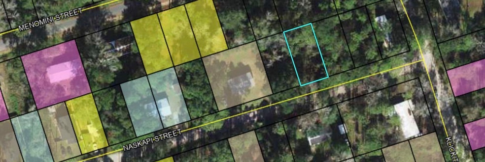 XX Naskapi St, Crawfordville, FL 32327 - photo 1