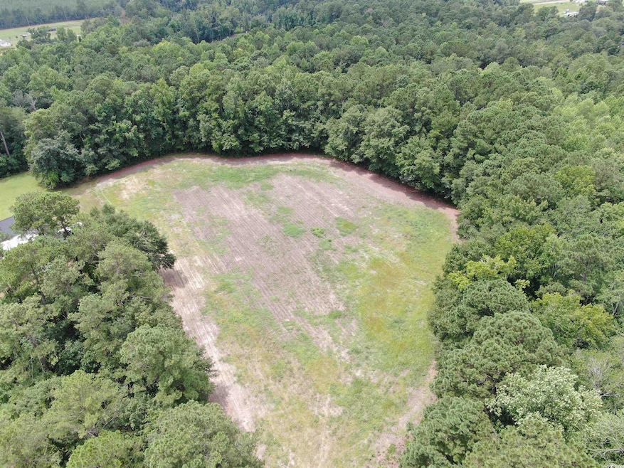 TBD Highway 308 unit Lot 7, Galivants Ferry, SC 29544 - photo 1