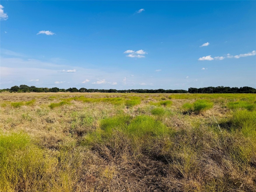 View of local wilderness with a rural view