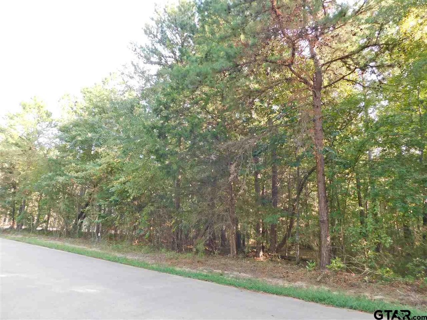 14670 Jade Forest Trail, Tyler, TX 75707 - photo 1