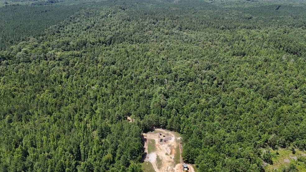 Shady Grove Road Lot unit Wp001, Saline, LA 71070 - photo 1