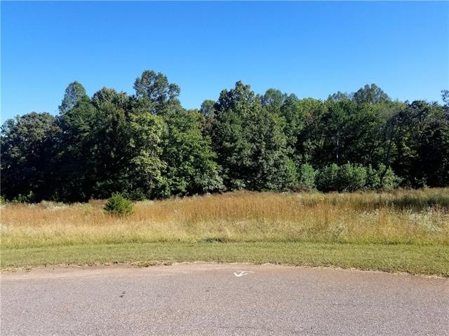 Cul-De-Sac Residential Lot