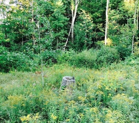 0 Oak Hill Rd unit 1610563, Standish, ME 04084 - photo 1