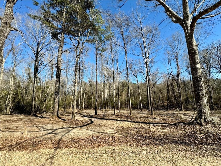 4 Acres Rob Thomas None, Franklinton, LA 70438 - photo 1