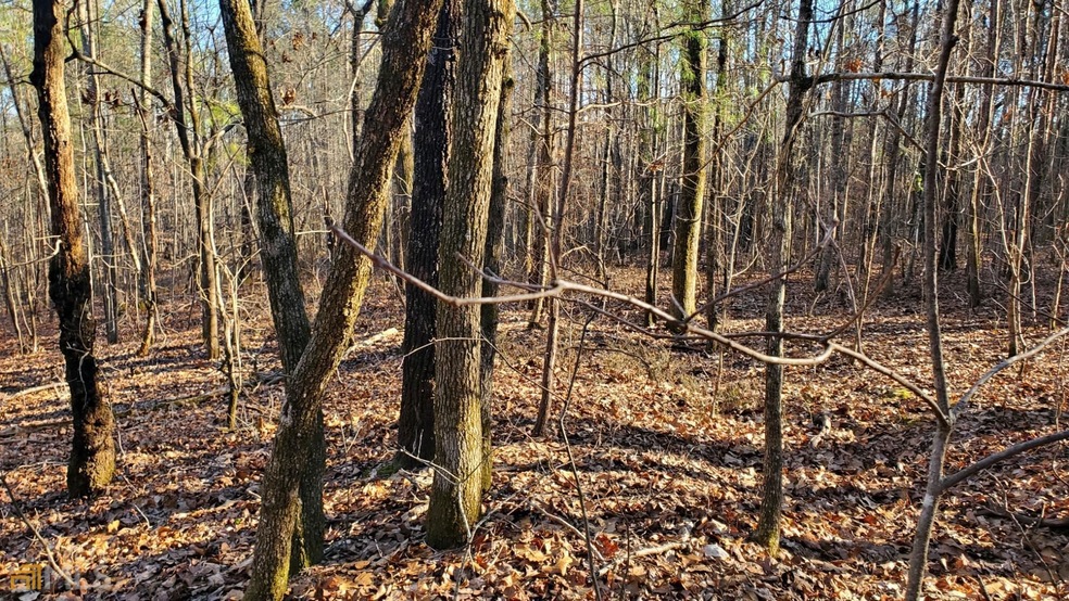 TRACT 2 Little New York Rd, Whitesburg, GA 30116 - photo 1