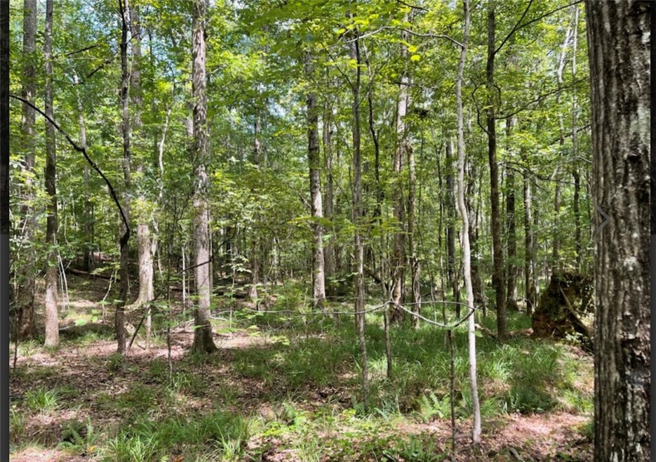 unlisted-address, Salem, AL 36874 - photo 1